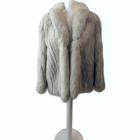 SAGA Arctic Fox: Origin Collection