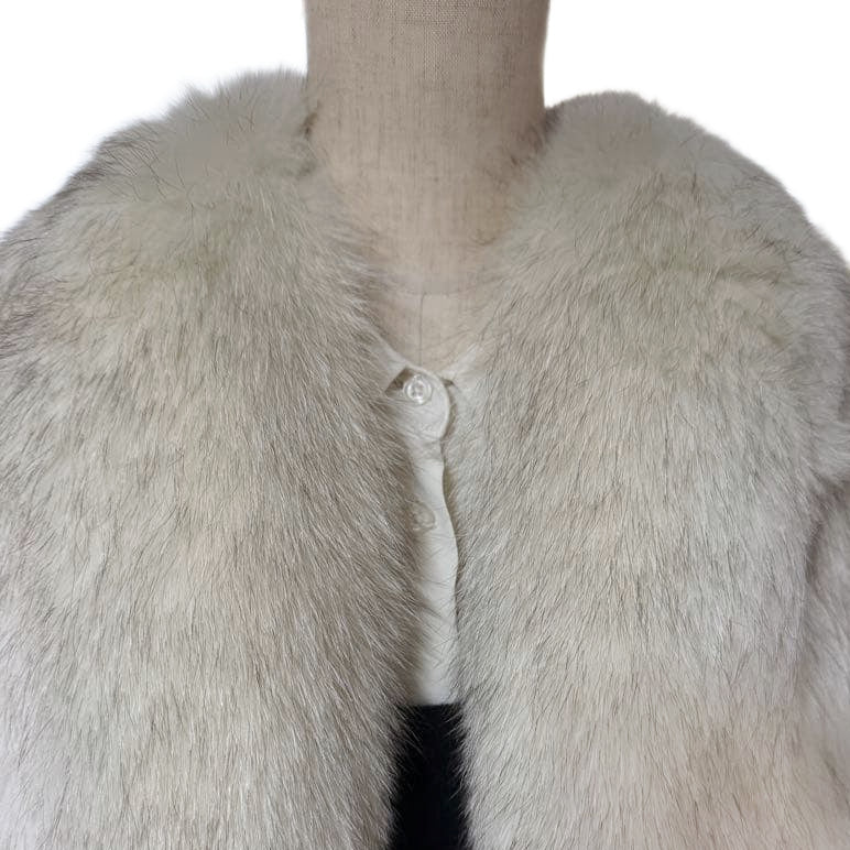 SAGA Arctic Fox: Origin Collection