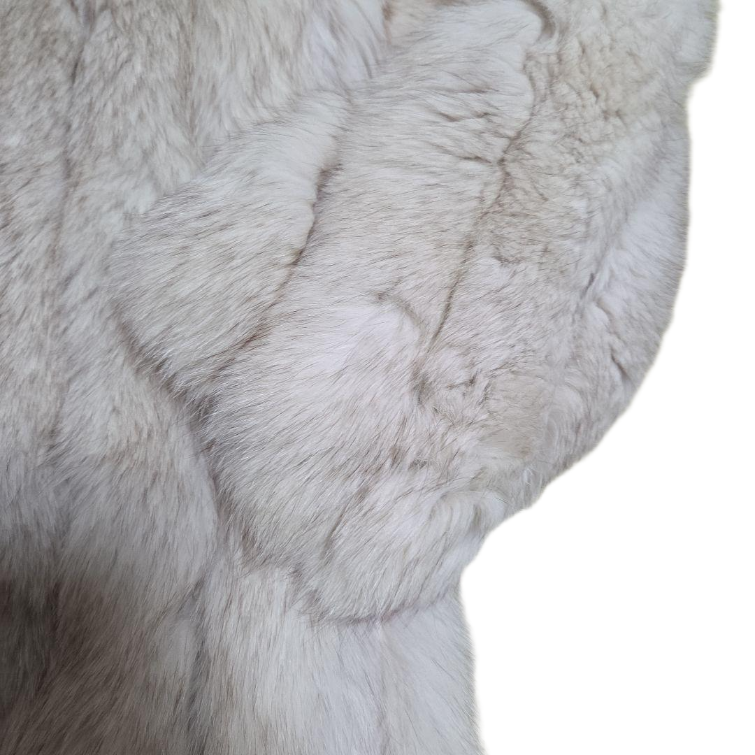 SAGA Fox: Origin Collection